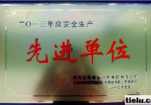 �����F·��(j��ng)��(j��)�_�l(f��)���F(tu��n)�����m��˾ϲ�@��2013��Ȱ�ȫ���a(ch��n)���M(j��n)��λ���s�u(y��)�Q̖