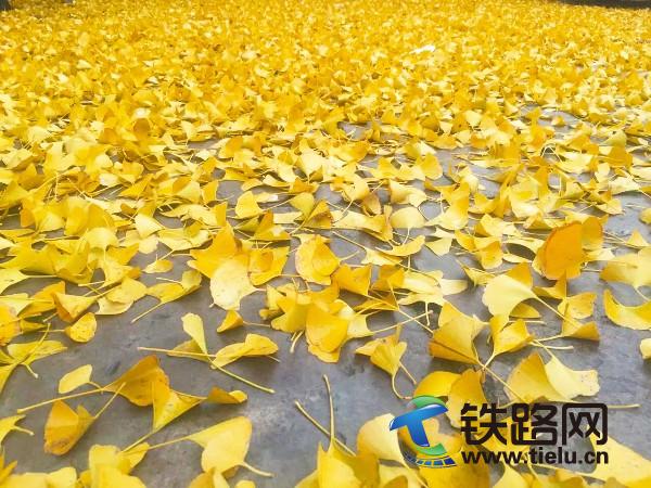 �M�ؽ��S(<a href=http://www.ehuashu.com/zhongtiewuhandianqihuaju/ target=_blank class=infotextkey>���F��h늚⻯��</a>���F���޹�˾�V�ݷֹ�˾�����z).jpg