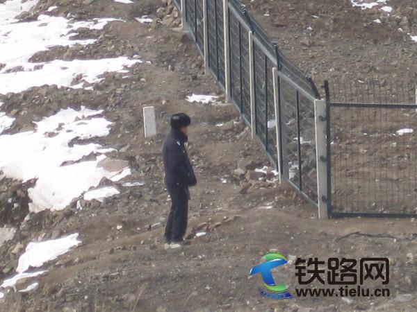 1456937254694598.jpg 7.jpg