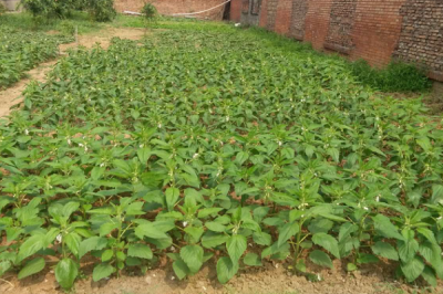 ������˾��ɽ���؜�ܰС�ˈ@